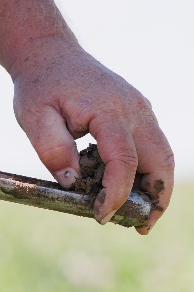 A handful of field soil
